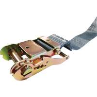 Tendeur d'arrimage &agrave; cliquet, Syst&egrave;me E-Track, 2" , 16' , Charge d'utilisation max. 1333 lb (605 kg) NTL Industrial