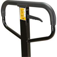 Manual Pallet Truck, Steel, 48" L x 27" W, 5500 lbs. Capacity NTL Industrial