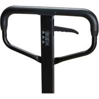 Steel Wheel Pallet Truck, Steel, 48" L x 27" W, 5500 lbs. Capacity NTL Industrial