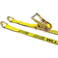 Tendeur d'arrimage pour treuil, Crochet en J, 30' , 2" , Charge d'utilisation max. 3335 lb (1512 kg) NTL Industrial
