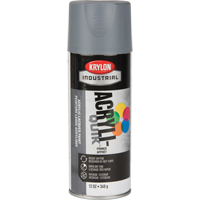 Laque industrielle Acryli-Quik, Gris, Tr&egrave;s mat, 12 oz, Canette a&eacute;rosol NTL Industrial
