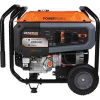 Portable Generator with COsense<sup>®</sup> Technology, 10000 W Surge, 8000 W Rated, 120 V/240 V, 7.9 gal. Tank NAA171 | NTL Industrial