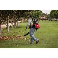 M18 FUEL Dual Battery Backpack Blower Kit, 18 V, 155 MPH Output, Battery Powered NTL Industrial