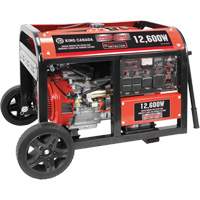 Gasoline Generator with Electric Start, 12600 W Surge, 9000 W Rated, 120 V/240 V, 31 L Tank NTL Industrial