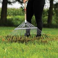 Lawn Rake, 24 Tines, Hardwood Handle, Steel Blade NTL Industrial