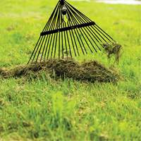 Lawn Rake, 24 Tines, Hardwood Handle, Steel Blade NTL Industrial