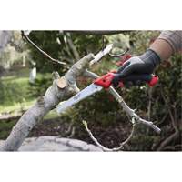 7” Folding Pruning Saw with ?Straight Blade NTL Industrial