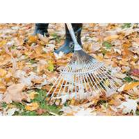 Pro Fan Rake, 24" Blade, 22 Tines, Hardwood Handle, Steel Blade NTL Industrial