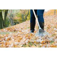 Pro Fan Rake, 24" Blade, 22 Tines, Hardwood Handle, Steel Blade NTL Industrial