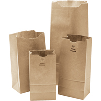 #3 Kraft Bag, Paper, 4-3/4" W x 8-1/2" L PG697 | NTL Industrial