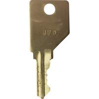 Replacement Key for Frost Smoking Receptacles NI750 | NTL Industrial