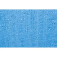 Tarp, Standard Duty, Blue, 7' x 5' x 4 mils NTL Industrial