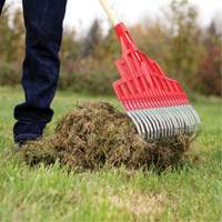 Multi-Purpose Lawn Rake, 20" Blade, 20 Tines, Hardwood Handle, Steel Blade NTL Industrial