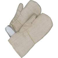 Gander Brand Mitt, Fibreglass, One Size, Protects Up To 608° F (320° C ) NJC605 | NTL Industrial