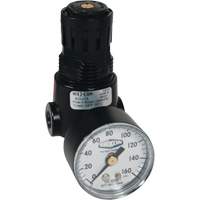 Wilkerson Miniature Regulator R04, 1/4" NPT, 300 psi Max. PSI, Standard NTL Industrial