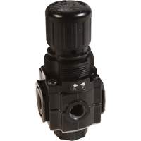 Collecteur de r&eacute;gulateur de s&eacute;rie 1, 1/4" NPT, PSI max. de 150 psi, Standard NTL Industrial