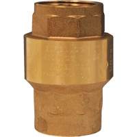 Horizontal Swing Check Valve NTL Industrial
