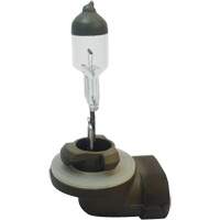 Low Voltage Automotive Bulb NTL Industrial