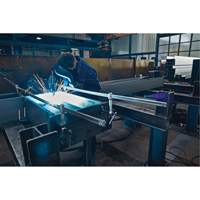 Serre-joint enti&egrave;rement en acier &agrave; double force variable NTL Industrial