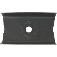 2-1/2" Paint Scraper NTL Industrial