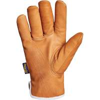 Endura&reg; Gloves, Large, Synthetic Palm, Thinsulate Inner Lining NTL Industrial