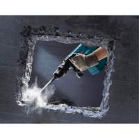 Demolition Hammer NTL Industrial