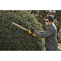 MAX* Hedge Trimmer, 22", 20 V, Battery Powered NTL Industrial