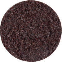 Disques de traitement des surfaces Standard Abrasives, 2" dia., Grain Cors&eacute; NTL Industrial