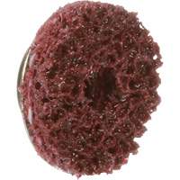 Disque TS &agrave; changement rapide 800069 P.A.R.T. # 21 Standard Abrasives, 5/8" dia., Grain Moyen, Oxyde d'aluminium NTL Industrial