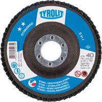 Flap Discs