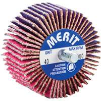 Threaded Mini Flap Wheel, Ceramic Alumina, 40 Grit, 2" x 1" x 1/4"-20 NTL Industrial