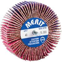 Threaded Mini Flap Wheel, Ceramic Alumina, 40 Grit, 3" x 1" x 1/4"-20 NTL Industrial