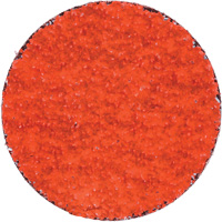 Blaze R980P Quick-Change Cloth Disc, 2" Dia., 36 Grit, Ceramic Alumina NTL Industrial