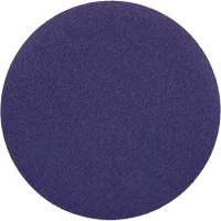 Hook & Loop Sanding Discs