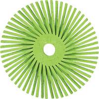 Abrasive Bristle Discs