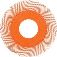 Brosse radiale en soies de pr&eacute;cision type C PN-RB sans adaptateur Scotch-Brite , C&eacute;ramique, Grain 80+, 6" dia. NTL Industrial