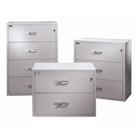 Fire Resistant Filing Cabinets, Steel, 4 Drawers, 38-3/4" W x 23-1/2" D x 55" H, Black NTL Industrial