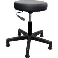 Tabouret de travail de s&eacute;rie 900, Stationnaire, Ajustable Hauteur, Capacit&eacute; 250 lb NTL Industrial