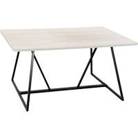 Oasis™ Sitting Teaming Table, 48" L x 60" W x 29" H, White OQ702 | NTL Industrial