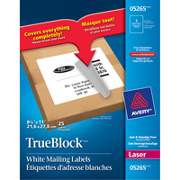 TrueBlock™ Laser Shipping Labels, 11" W x 8.5" L, White OT813 | NTL Industrial