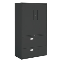 Multi-Stor Cabinet, Steel, 3 Shelves, 65-1/4" H x 36" W x 18" D, Black OTE783 | NTL Industrial