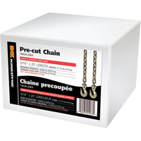 Chains PE963 | NTL Industrial