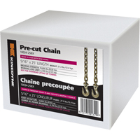 Chains PE965 | NTL Industrial