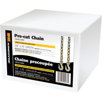 Chains PE966 | NTL Industrial