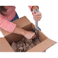 Carton Sizer NTL Industrial