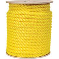 Corde jaune tress&eacute;e, Polypropyl&egrave;ne, 300' NTL Industrial