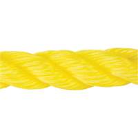 Corde jaune tress&eacute;e, Polypropyl&egrave;ne, 300' NTL Industrial