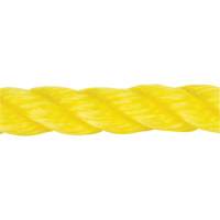 Corde jaune tress&eacute;e, Polypropyl&egrave;ne, 144' NTL Industrial