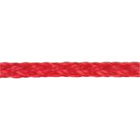 Corde rouge tress&eacute;e, Polypropyl&egrave;ne, 500' NTL Industrial