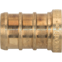 Lead-Free Pipe Plug, Pipe, 1/2" Dia., Brass NTL Industrial